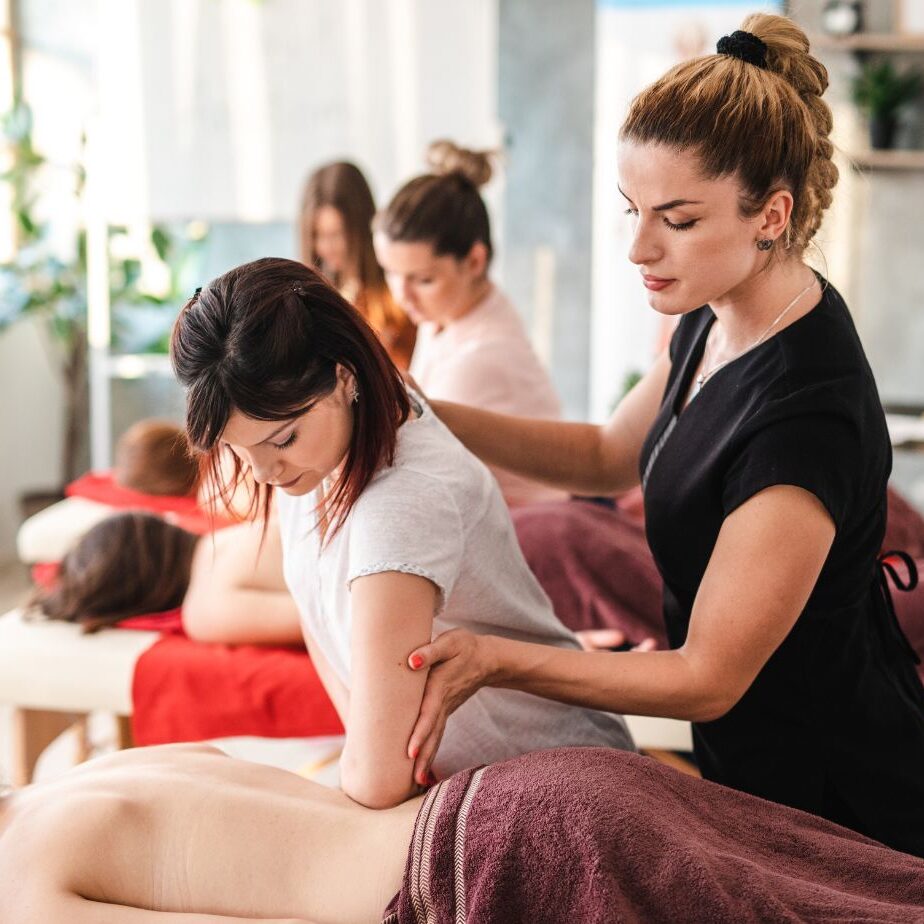 Formation Formateur en Massage Bien Être lfmbe.fr formation-massage-france.fr 1